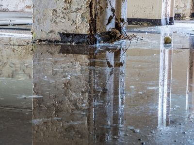About water damage cleanup - ceiling water damage repair experts in Delano